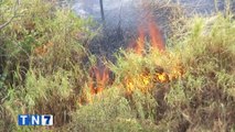tn7-quemas-de-charrales-se-disparan-este-año-segun-cuerpo-de-bomberos-220222