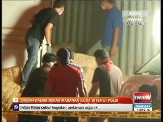 Dadah dalam bekas makanan kuda ditemui polis