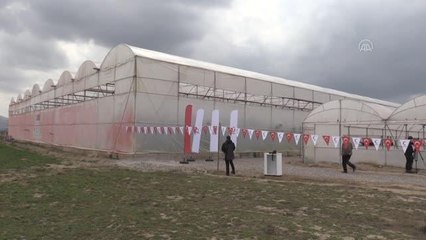 Türk Kızılay Genel Başkanı Kınık, hasada katıldı