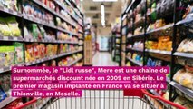 Conso : le supermarché le moins cher d’Europe débarque en France