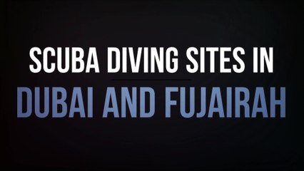 Scuba Diving Sites in Dubai and Fujairah
