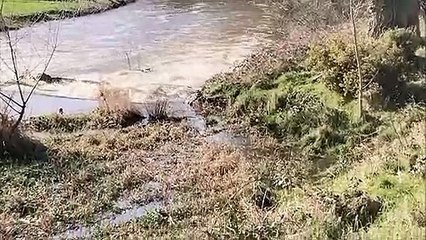 River Lagan near Donaghcloney