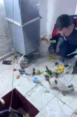 Son Dakika | Havalandırmada sıkışan yavru kediyi itfaiye kurtardı