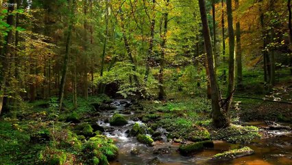 Relaxing Piano Sound By Peder B. Helland: The Good, The Bad, And The Ugly