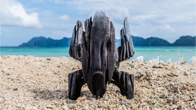 VOICI - Koh-Lanta 2022 : qui est Nicolas, le sportif qui a failli perdre son bras ?