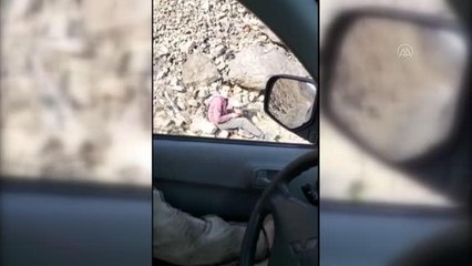 İnternet sorunu yaşayan çocuğun eğitim azmi Mehmetçiği duygulandırdı