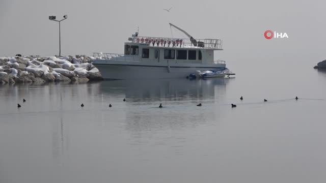 Son dakika haber! Prof. Dr. Alaeddinoğlu: Van Gölü'ndeki çekilme devam edecek