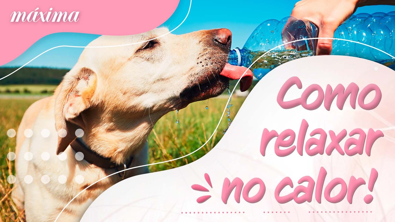 SAIBA COMO RELAXAR NO CALOR!