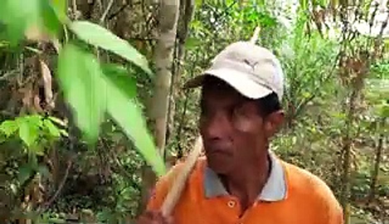 Rattan is a staple in wicker furniture. Here's why it can cost hundreds, even thousands, of dollars.