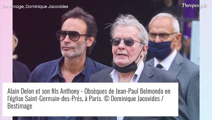 Alain Delon "angoissé" à l'idée de tourner son tout dernier film ? Patrice Leconte explique...