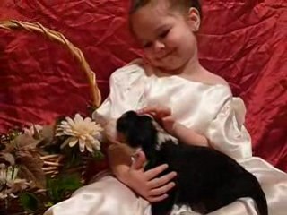 5 mars chiots R & S et notre petite www.lesbernois.com