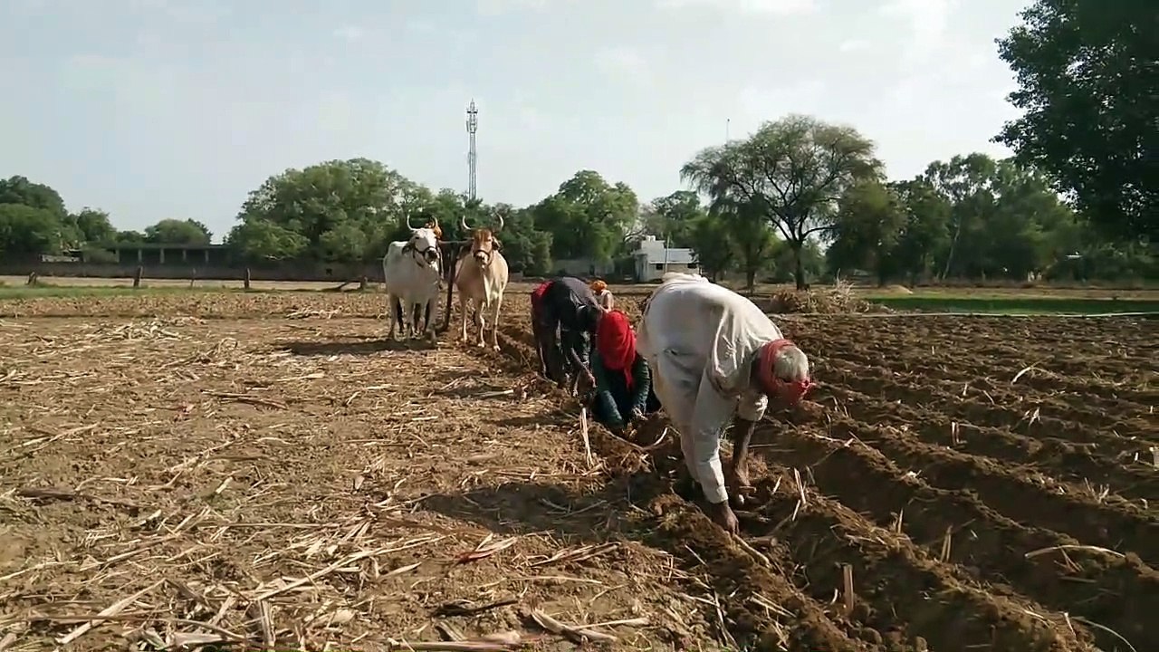 पहली बार अलग से पेश होगा कृषि बजट
