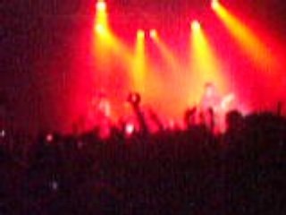 Fin lying is the most...