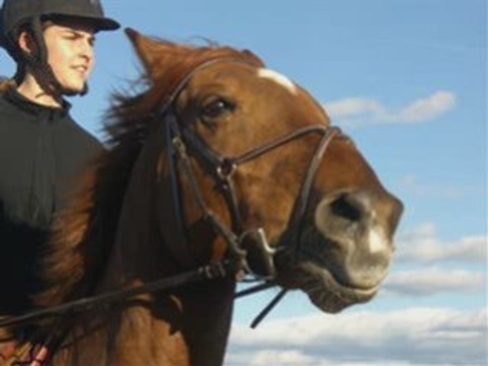 Dressage