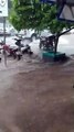 Bombeiros e Defesa Civil atendem dezenas de ocorrências causadas pelo temporal em Umuarama