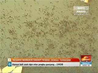 Negara mungkin hadapi wabak denggi terbesar