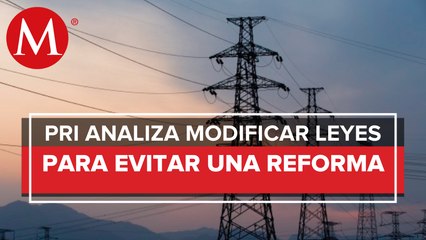 Diputados del PRI valorarán si es necesaria la reforma constitucional