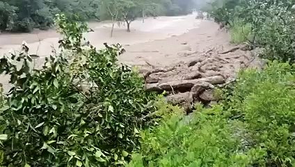 Download Video: Intensas lluvias provocan una mazamorra que afectó viviendas y cultivos en Irupana