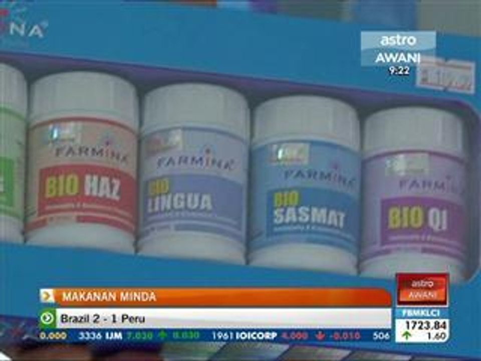 Makanan minda