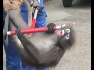 Klinik Kesihatan diceroboh lutong