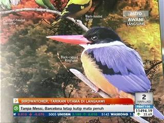 Birdwatcher, tarikan utama di Langkawi