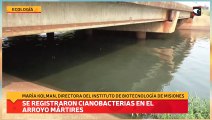 Se registraron cianobacterias en el Arroyo Mártires