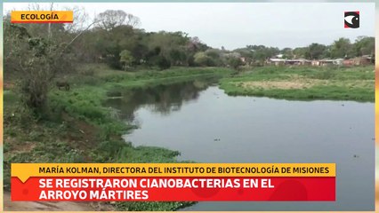 Se registraron cianobacterias en el Arroyo Mártires