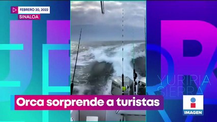 Orca sorprende a turistas