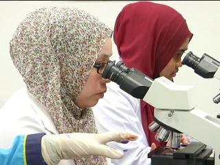 Bajet 2016 perlu sedia lebih peruntukan untuk beri faedah kepada anak muda kembali berkhidmat di Malaysia