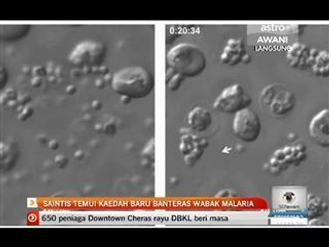 Saintis temui kaedah baru banteras wabak malaria