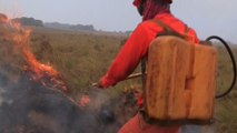 Incendios en noreste argentino destruyen casi el 9 % de la provincia de Corrientes