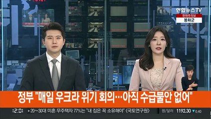정부 "매일 우크라 위기 회의…아직 수급불안 없어"