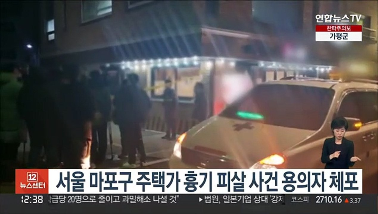 서울 마포구 주택가 흉기 피살 사건 용의자 체포