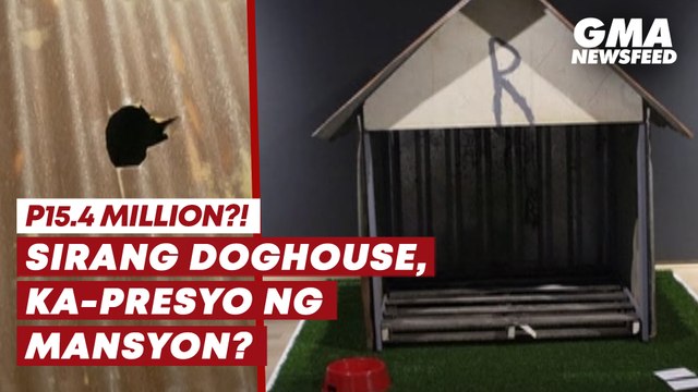 Sirang doghouse, ka-presyo ng mansyon? | GMA News Feed