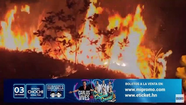 Alarmante aumento de incendios forestales en el país en lo que va de 2022