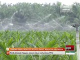 Dimensi baru industri kelapa sawit Malaysia - Indonesia