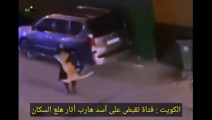 فتاة تقبض على اسد هارب