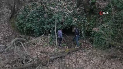 Hayvanlarını otlatırken binlerce yıllık mağarayı buldular