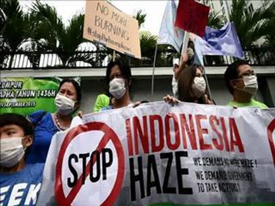 Malaysians protest against Indonesia's illegal fires