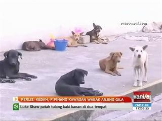 Perlis, Kedah dan Pulau Pinang kawasan jangkitan anjing gila
