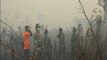 Indonesian police continue to hunt forest fire suspects