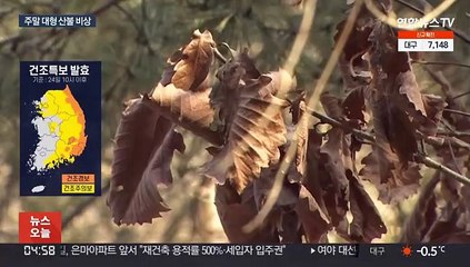 건조한 날씨에 20㎧ 강풍…주말 산불 '초비상'