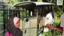 #AWANIJr: Alya, Burung Kakak Tua & Ular Sawa