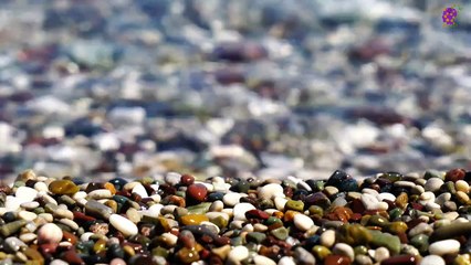 intro-logo-newaudio-15-min-20220214-234842