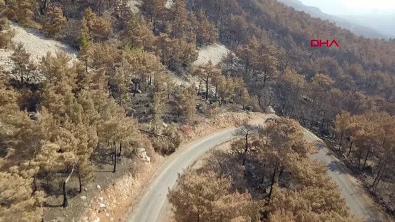 MERSİN'DE YANAN ORMANLIK ALANA 350 BİN FİDAN DİKİLDİ