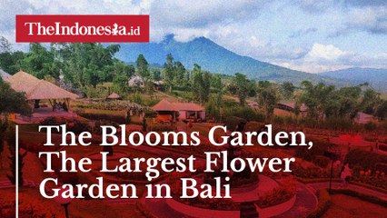 The Blooms Garden, The Largest Flower Garden in Bali