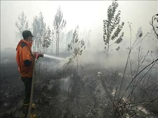 Indonesian fires send smog over Singapore, Malaysia