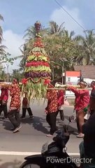 KARNAVAL HUT DESA SOGAN KE 107