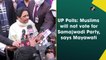 UP Polls: Muslims will not vote for Samajwadi Party, says Mayawati