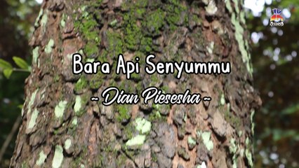 Dian Piesesha - Bara Api Senyummu (Official Lyric Video)